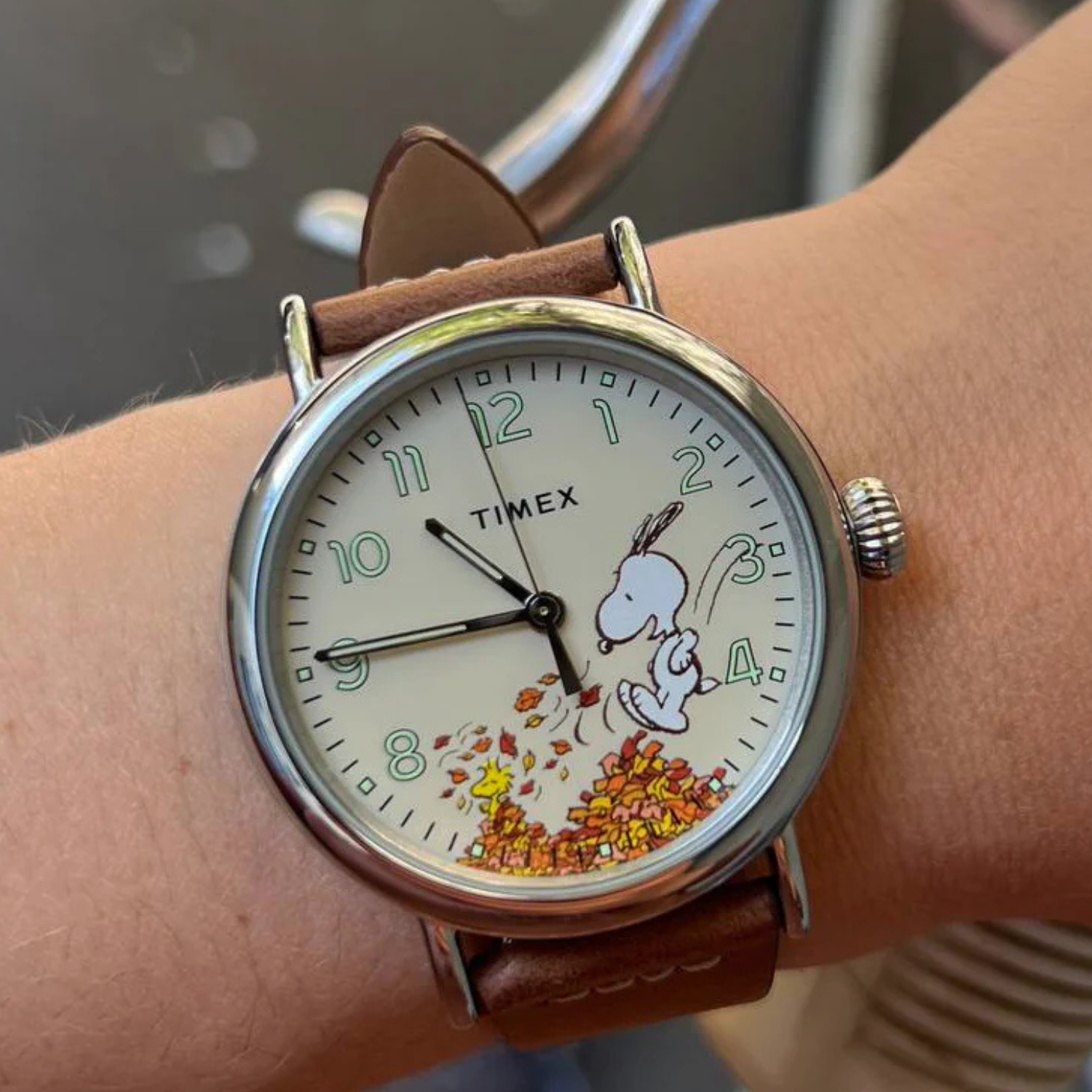 Timex x Peanuts Snoopy Autumn 40mm